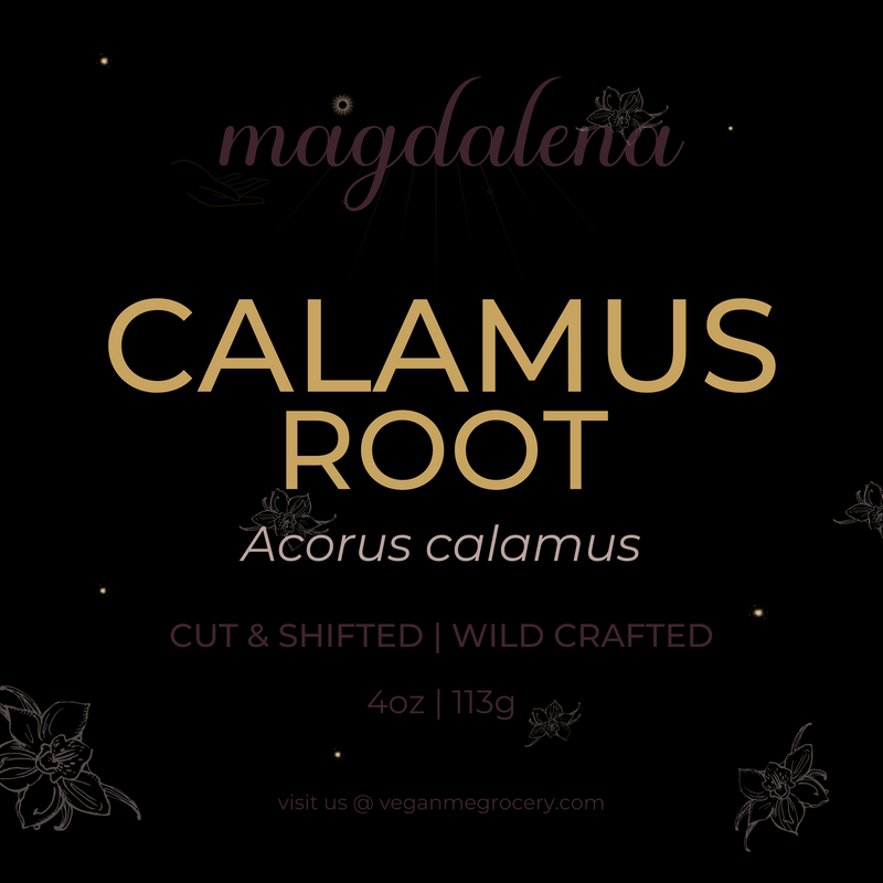 Calamus Root | 4oz