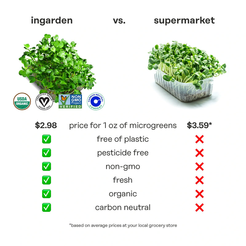 Arugula Superfood (Iron Booster)